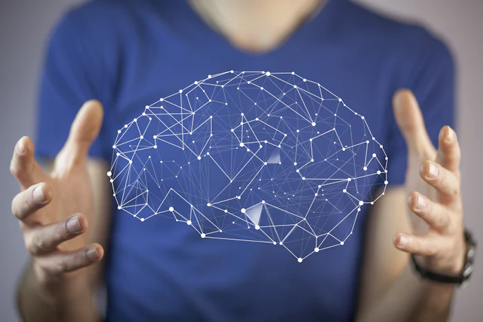 A young person holding out their hands, a neuroscientific model of the brain showing between their fingers